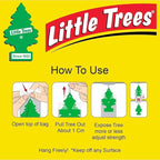 LittIe Trees Car Freshener, Black Ice Scent, 10-Pack