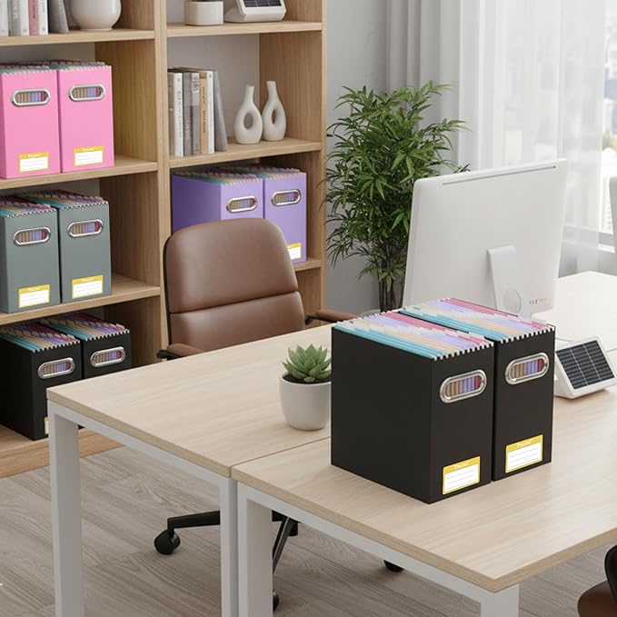 BALEINE File Organizer Box, Cardboard File Folder Organizer with Handle for Letter Size, Portable Collapsible Hanging Filing 