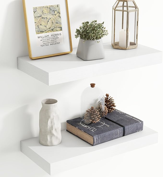 20 Inch Floating Shelves for Wall, 8 Inch Deep Floating Shelf for Storage & Display, Rustic Wall Mounted Shelf with Invisible