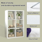 CTESNE【2026 Wooden Thick Frame 6 Cube Storage Organizer Shelf with Anti-Tipping Kits + Reversible Open Back Bookcase, Horizon