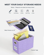 Oterri File Organizer Box with Lid, Hanging Filing File Box with Mesh Pocket, Document Organizer Box for Letter Files, Portab