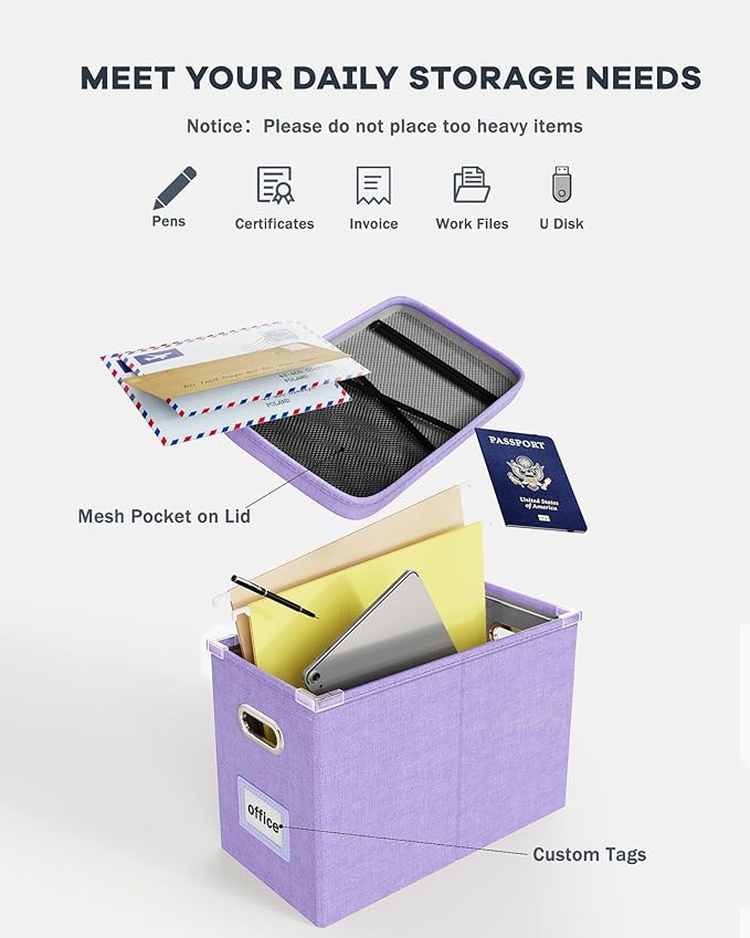 Oterri File Organizer Box with Lid, Hanging Filing File Box with Mesh Pocket, Document Organizer Box for Letter Files, Portab