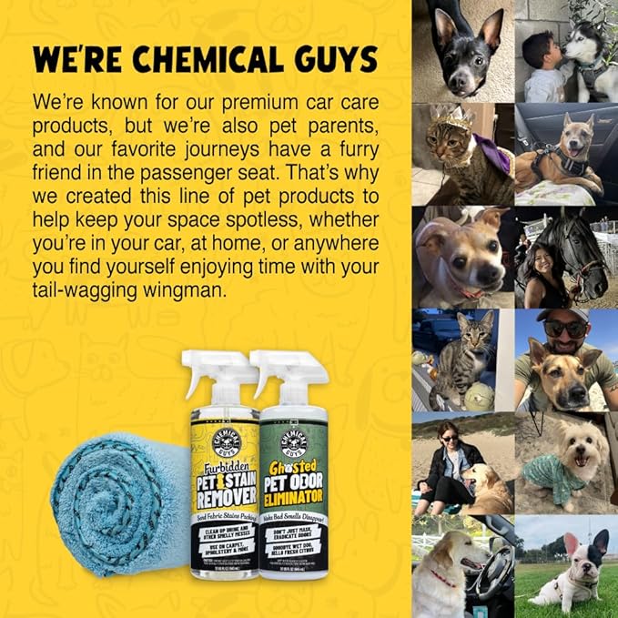 Chemical Guys Pet Mess Cleaning Kit, Furbidden Odor Eliminator 16 oz with Interior Detailing Brush Cleans, Pet Smells, Hair a