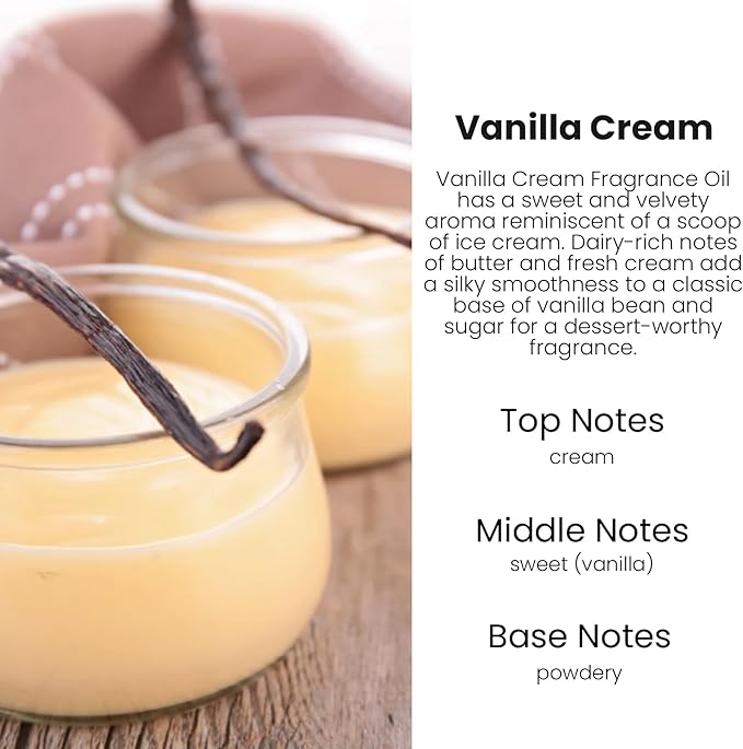 HoogaLife Car Air Freshener Diffuser 2 Pack Hanging Air Freshener Diffuser - Vanilla Cream Fragrance Oil Air D iffuser for Ca