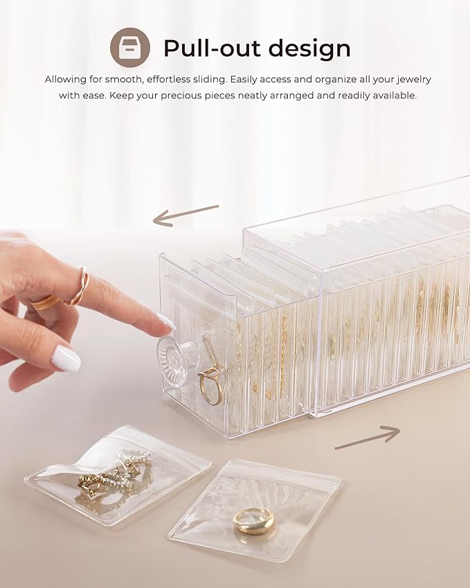 HOMEHIVE Clear Acrylic Jewelry Organizer Box with 20 Portable Pouches, Jewelry Storage Case for Women Girls, Tangle-Free, Ant