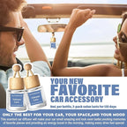 HoogaLife Car Air Freshener Diffuser 2 Pack Hanging Air Freshener Diffuser - VoIeano Lava Fragrance Oil Air D iffuser for Car
