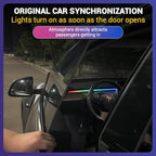 LED Car Ambient Lighting Strip for Tesla High Brightness with APP Control Multiple Colors and Car LED Strip Lighting Neon Lights for Model 3/Y (Dashboard& Center Console& 4 Floor Light)