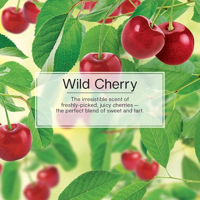 LITTLE TREES Car Air Freshener | Vent Wrap Provides Long Lasting Scent, Invisibly Fresh | 16 Air Fresheners | Wild Cherry