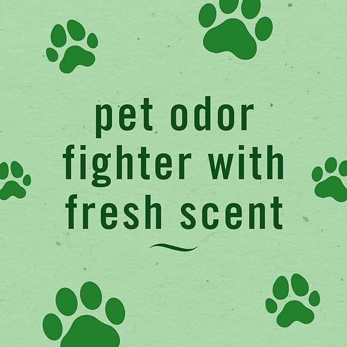 Febreze Air Mist, Air Freshener Spray, Odor Fighting Room Spray, Deodorizer for Home Bathroom Kitchen Apartment, Pet Odor Fig