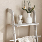 Wash White Wood Blanket Ladder with Top Shelf for the Living Room, 67in Decorative Blanket Holder, 5 Tier with Side Hooks for