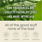 C Classy Car Air Freshener Hanging 2 Pack, Spiced Pumpkin Essential Oil Diffuser for Cars, Cute Car Accessories, Long-Lasting