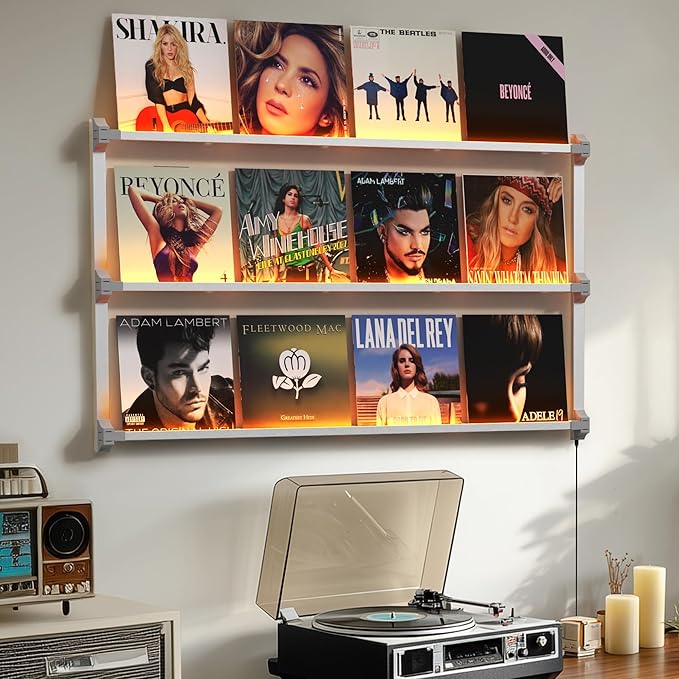 Vinyl Record Shelf Wall Mount with LED Lights, Floating Shelf for Vinyl Record Display, 14-INCH Aluminum Alloy Record Holder 