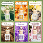 6 Pack Car Air Freshener for Women, Long Lasting Slow-Release Natural Essential Oil Scents Air Freshener Diffuser, Hanging Cu
