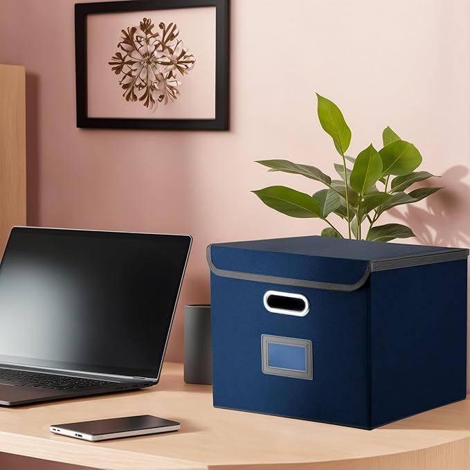 Hleelomi Collapsible File Box with Lid & Plastic Slide - Hanging Document Organizer for Office/Home, 14.96x12.6x10.83 Inch,De