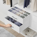 BOLUO Small Closet Organizer Drawers,Underwear and Bra Organizer with Divider for Socks,Fabric College Dorm Storage White