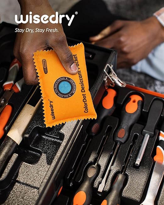 wisedry 100g [10 Packs] Rechargeable Desiccant Packs for Storage, Color Indicating Silica Gel Desiccant Packets, Reusable