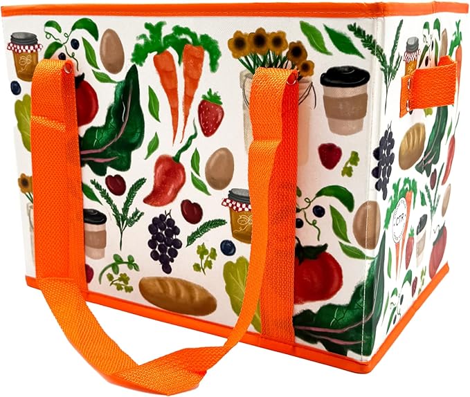 Earthwise Deluxe Collapsible Reusable Shopping Box Grocery Bag Set with Reinforced Bottom Bins Cubes (Set of 3)