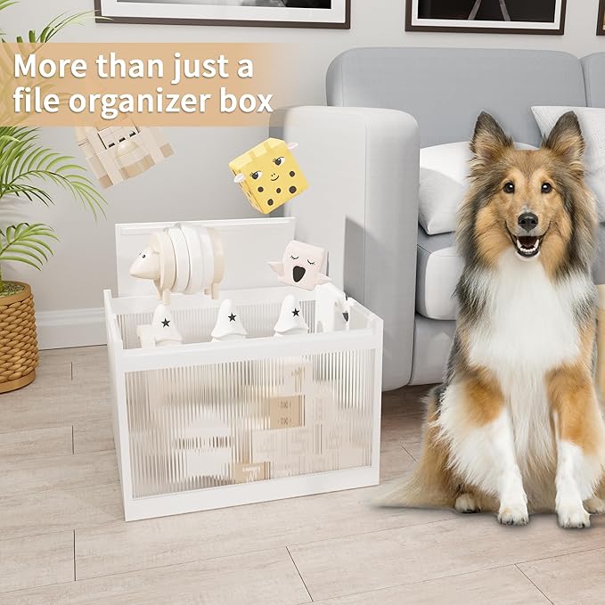 Bamboo Hanging File Boxes with Lids 2 Pack, File Organizer Box for Letter/Legal File, File Box with Hanging Folders Acrylic L