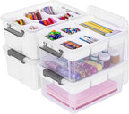 Citylife 17 QT Plastic Storage Box with Removable Tray and 6 Detachable Tall Inserts Craft Organizers and Storage Clear Stora