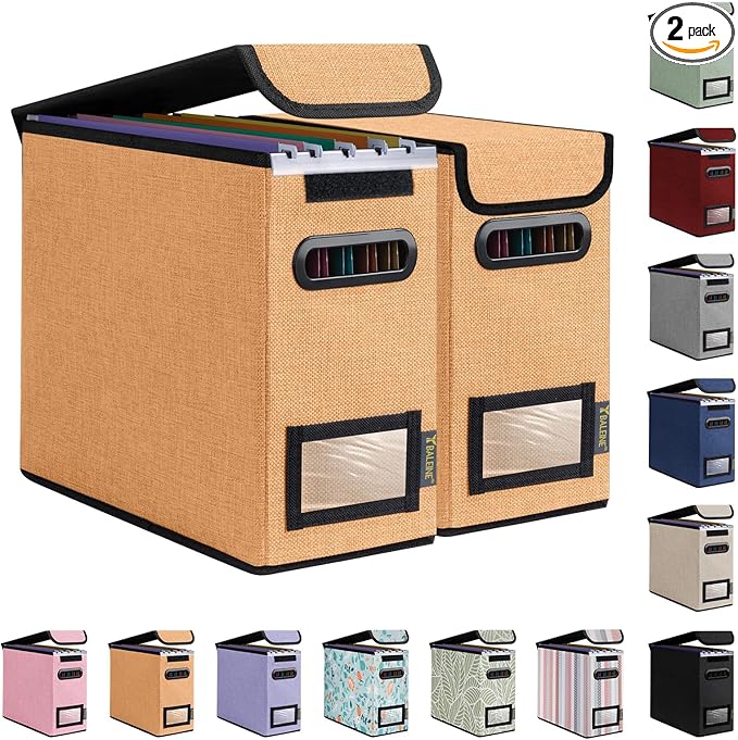 BALEINE File Organizer Box with Lid, Collapsible File Folder Organizer with Plastic Slide, Hanging File Folder Box for Office