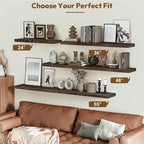 Vivelove Elm Wood Floating Shelves, Wooden Shelves for Wall with Invisible Bracket for Living Room Bedroom Bathroom Office Bo