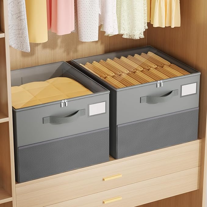 NestOrganix 2 Pack Shoe Organizer for Closet, Large Shoe Box Storage Containers, Foldable Shoe Storage Organizer Box Bin with