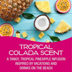 California Scents Palms Paper Tropical Colada Air Freshener