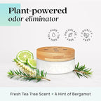 Azuna Air Freshener & Odor Eliminator for Strong Odor | 1 Room Kit Includes (1) Empty Luxe Glass Jar & 8oz Refill with Tea Tr