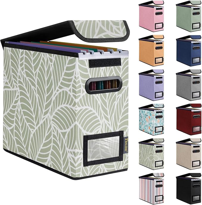 BALEINE File Organizer Box with Lid, Collapsible File Folder Organizer with Plastic Slide, Hanging File Folder Box for Office