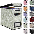 BALEINE File Organizer Box with Lid, Collapsible File Folder Organizer with Plastic Slide, Hanging File Folder Box for Office