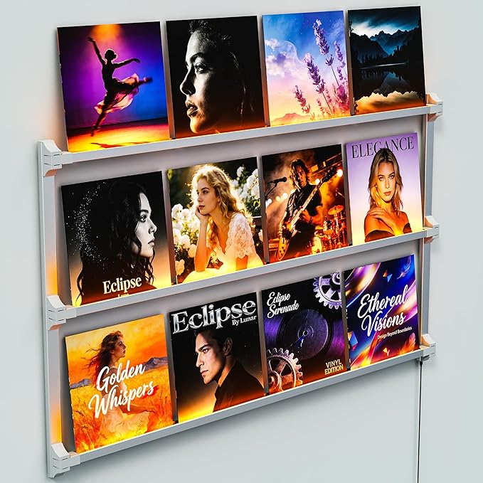 Vinyl Record Shelf Wall Mount with LED Lights, Floating Shelf for Vinyl Record Display, 14-INCH Aluminum Alloy Record Holder 