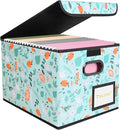 BALEINE File Organizer Box with Lid, Collapsible File Folder Organizer with Plastic Slide, Hanging File Folder Box for Office