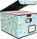 BALEINE File Organizer Box with Lid, Collapsible File Folder Organizer with Plastic Slide, Hanging File Folder Box for Office