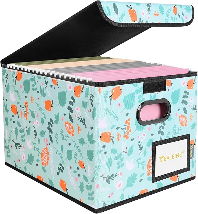 BALEINE File Organizer Box with Lid, Collapsible File Folder Organizer with Plastic Slide, Hanging File Folder Box for Office
