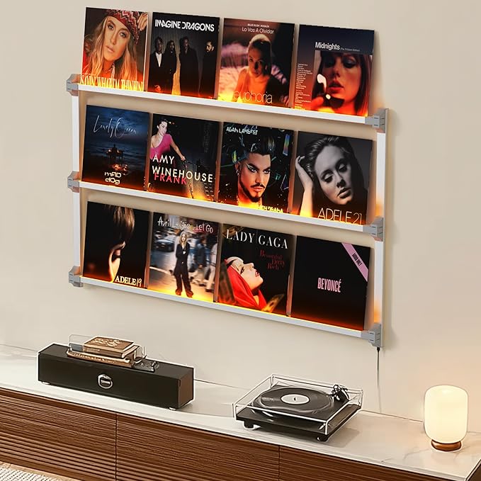 Vinyl Record Shelf Wall Mount with LED Lights, Floating Shelf for Vinyl Record Display, 14-INCH Aluminum Alloy Record Holder 