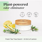 Azuna Air Freshener & Odor Eliminator for Strong Odor | 2 Room Kit Includes (2) 8 oz. Empty Luxe Glass Jars & 12 oz | Refill 
