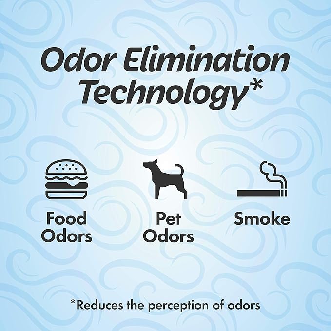 Refresh Your Car! Car Air Freshener And Deodorizer, Odor Eliminator Charcoal Deodorizer Bags, Set Of 2, Fragrance Free