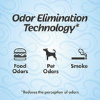 Refresh Your Car! Car Air Freshener And Deodorizer, Odor Eliminator Charcoal Deodorizer Bags, Set Of 2, Fragrance Free