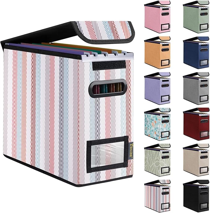 BALEINE File Organizer Box with Lid, Collapsible File Folder Organizer with Plastic Slide, Hanging File Folder Box for Office