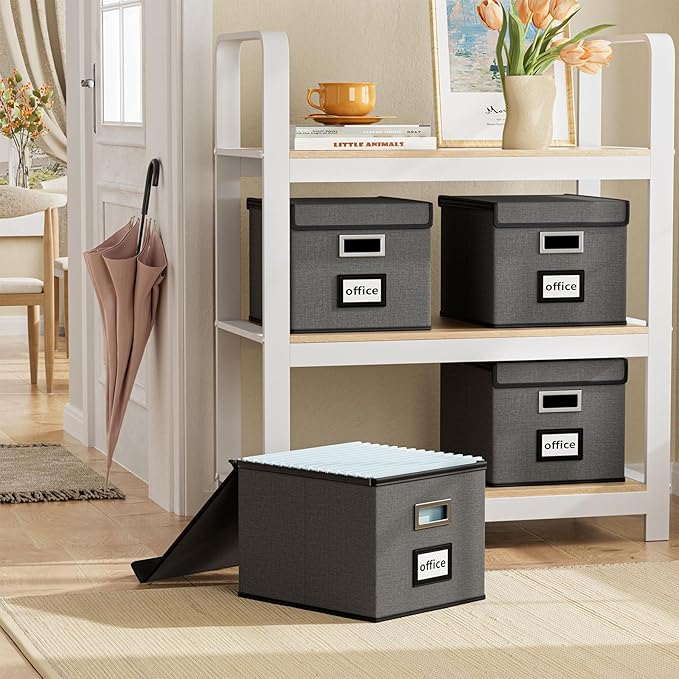 Huolewa File Organizer Box with Lid, Collapsible File Folder Organizer for Office Document Storage, Filing Box with Plastic S