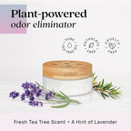 Azuna Air Freshener & Odor Eliminator for Strong Odor | 2 Room Kit Includes (2) 8 oz. Empty Luxe Glass Jars & 12 oz | Refill 