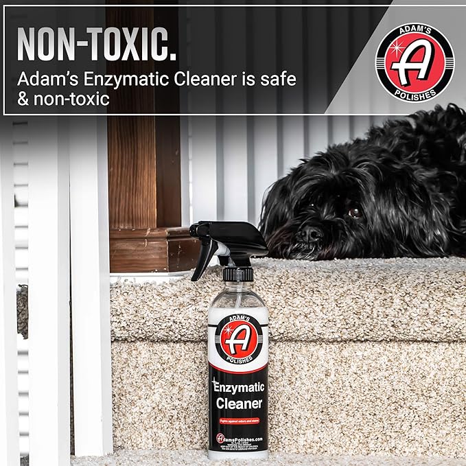 Adam's Polishes Enzymatic Cleaner 16oz - Eliminate Stains & Odors From Extreme Bio-Based Messes - Water-Based, Non-Toxic All 