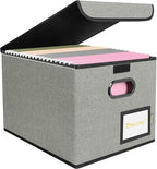 BALEINE File Organizer Box with Lid, Collapsible File Folder Organizer with Plastic Slide, Hanging File Folder Box for Office
