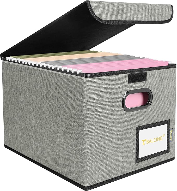 BALEINE File Organizer Box with Lid, Collapsible File Folder Organizer with Plastic Slide, Hanging File Folder Box for Office