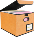 BALEINE File Organizer Box with Lid, Collapsible File Folder Organizer with Plastic Slide, Hanging File Folder Box for Office
