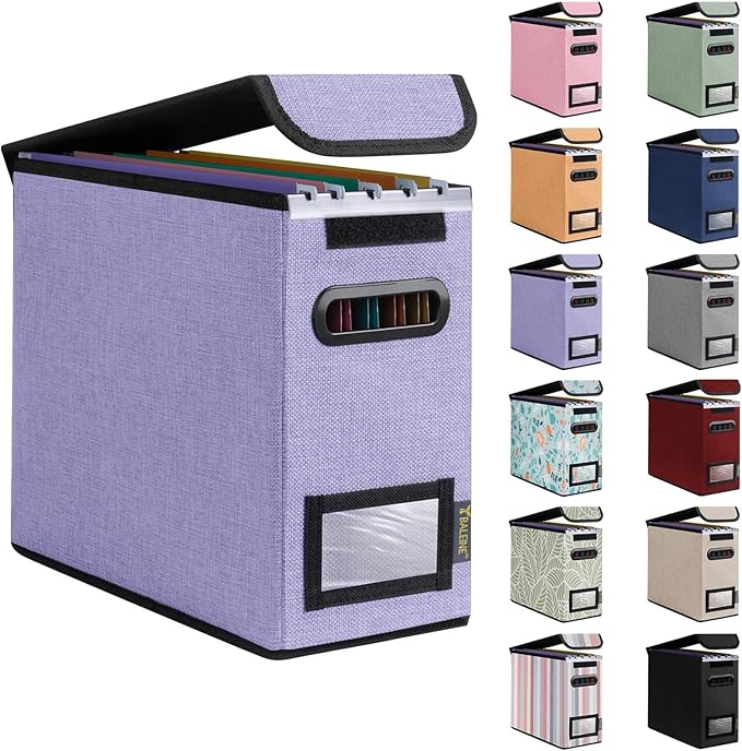 BALEINE File Organizer Box with Lid, Collapsible File Folder Organizer with Plastic Slide, Hanging File Folder Box for Office