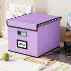 Huolewa File Organizer Box with Lid, Collapsible File Folder Organizer for Office Document Storage, Filing Box with Plastic S