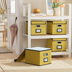 Huolewa File Organizer Box with Lid, Collapsible File Folder Organizer for Office Document Storage, Filing Box with Plastic S