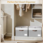 Criusia Shoe Organizer for Closet, 2 Pack Foldable Shoe Storage Organizer Box Bin with Adjustable Dividers and Clear Cover, C