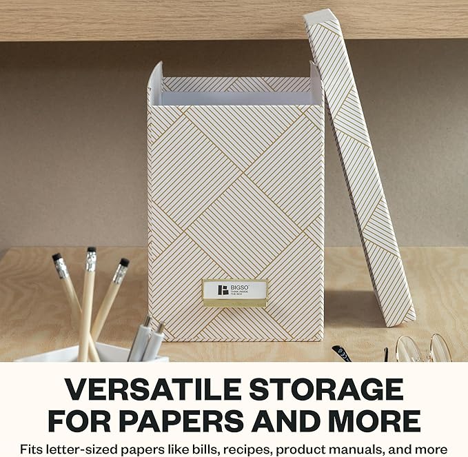 Bigso John Fiberboard Label Frame Desktop File Storage Box - Document Organizer for Important Paperwork - Durable Hanging Fil